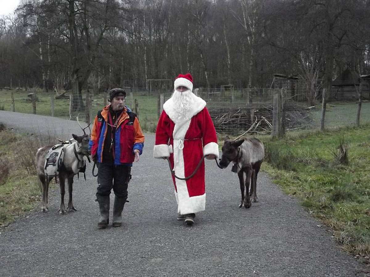Tierweihnacht
