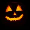 Halloween im Wildpark