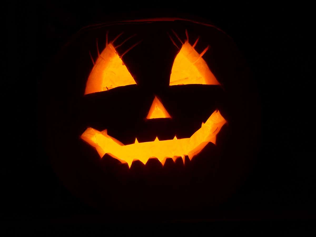 Halloween im Wildpark
