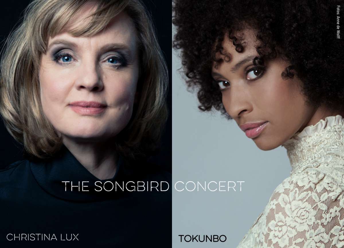 Press Play – Livestream Konzerte – The Songbird Concert (Christina Lux & Tokunbo)