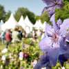 Gartenfest Kassel