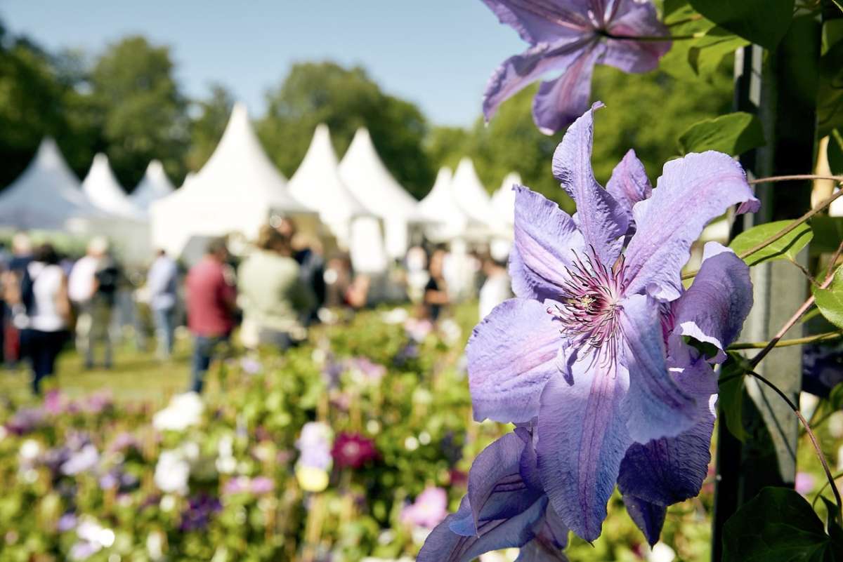 Gartenfest Kassel