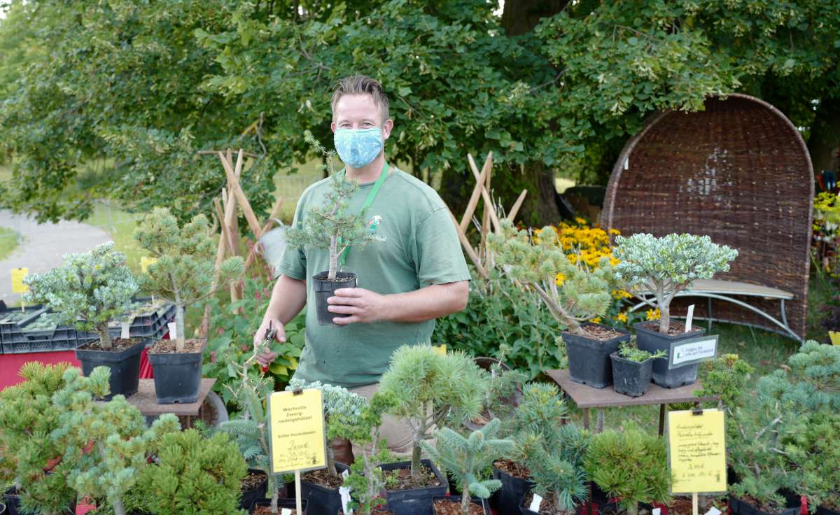 Gartenfest Kassel