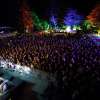 Orange Blossom Special Festival