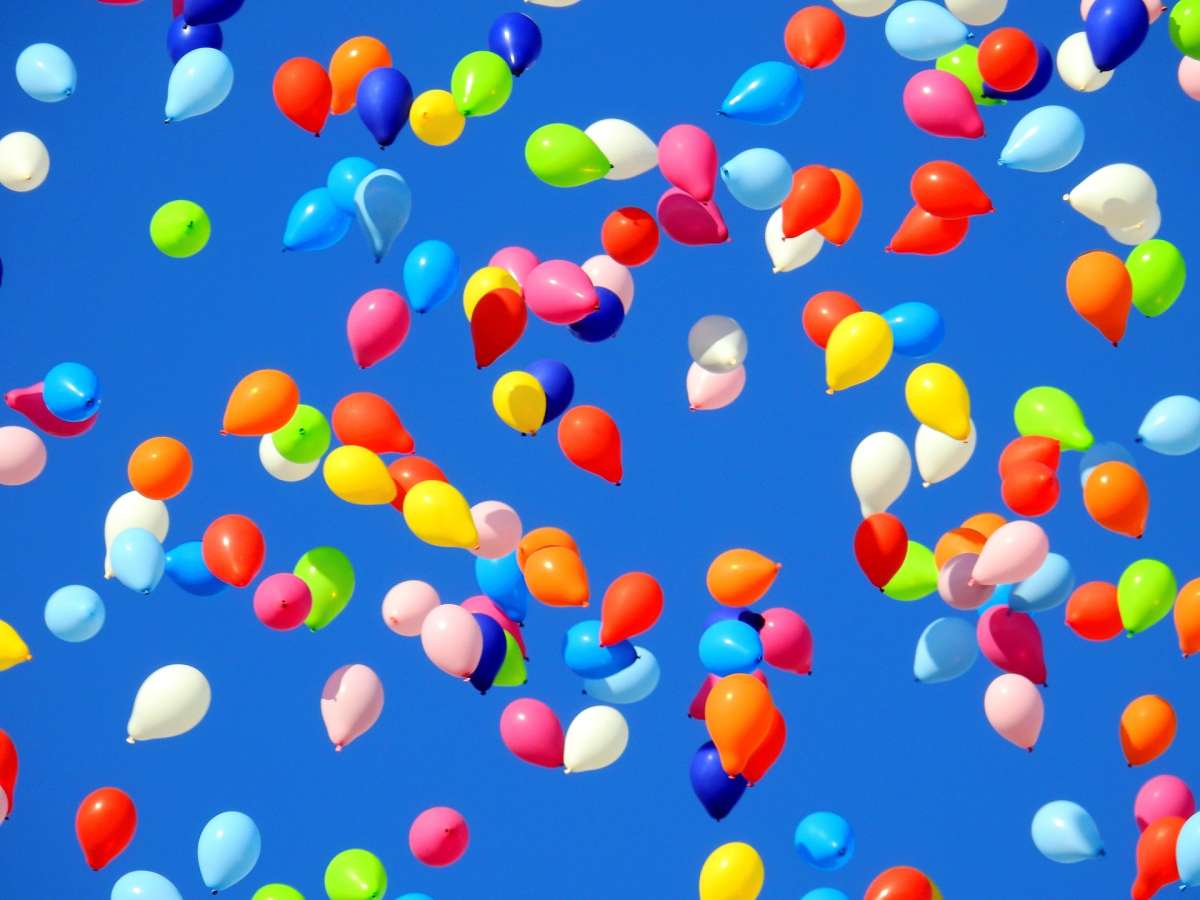 Wildwechsel-Party (Test-Termin)