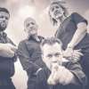 Die Schwalm rockt: Tribute to Volbeat