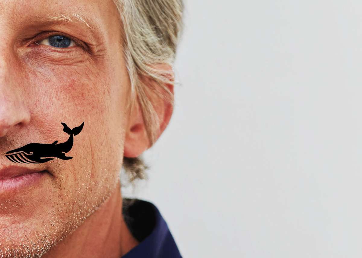 Großes Bild schließen! Wahlweise
