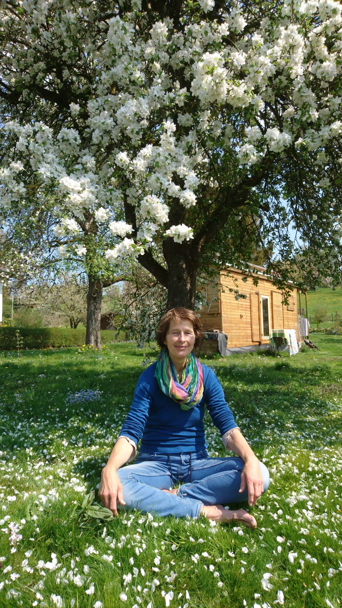 Qigong im Wald