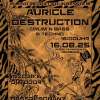 Auricle Destruction VIII