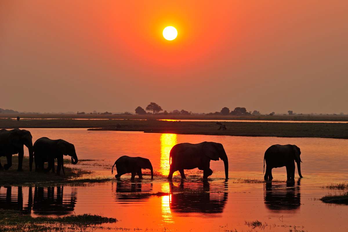 Planetview: Namibia & Botswana