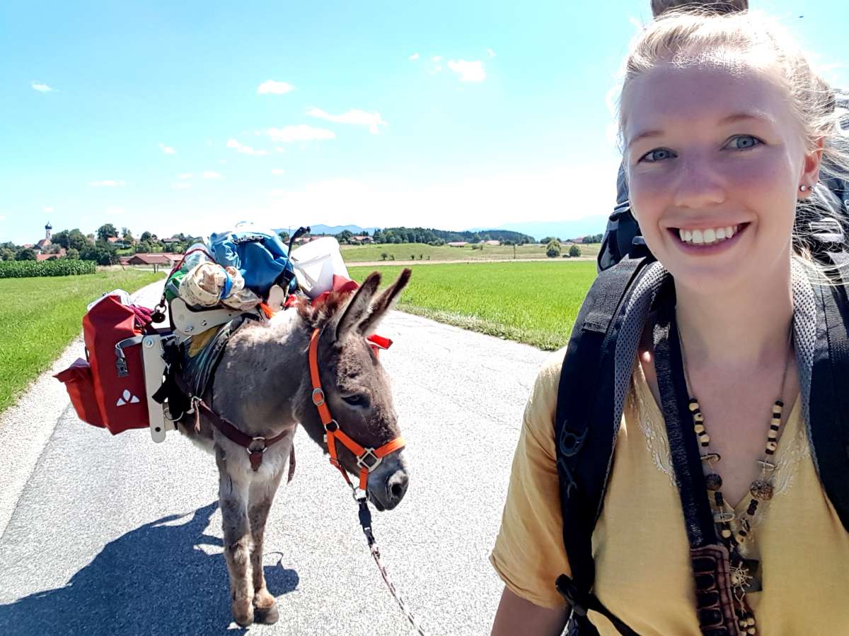 Planetview: Mit dem Esel über die Alpen