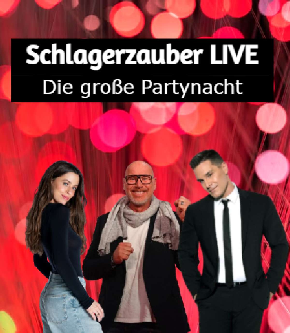 Großes Bild schließen! Die große Partynacht