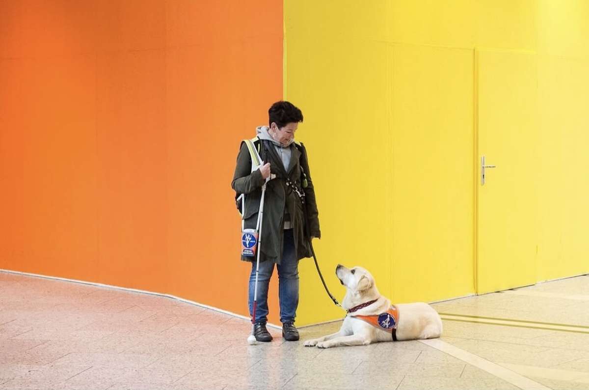 Großes Bild schließen! Blind Vertrauen