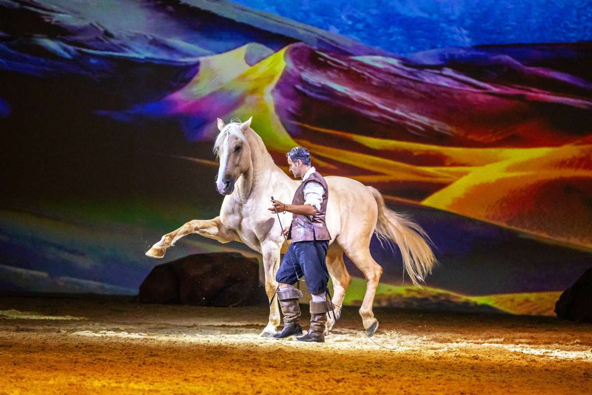 Cavalluna Kids - WinterWünscheLand