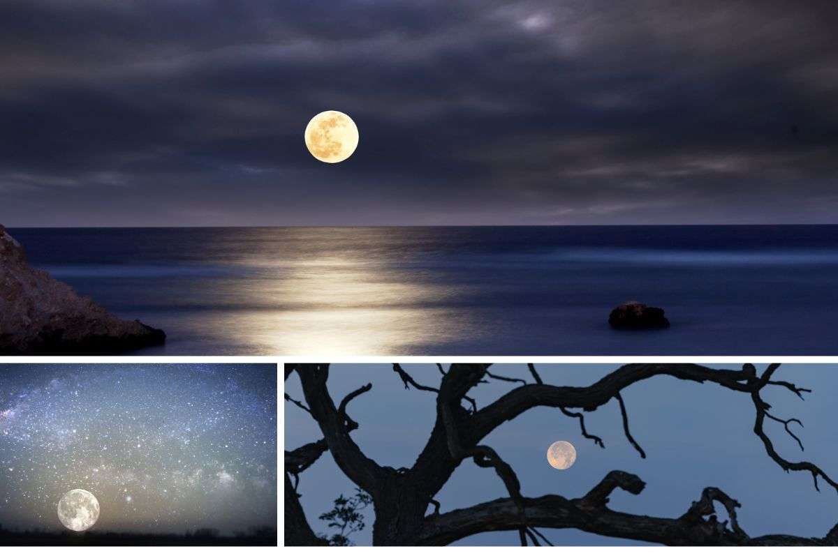 Mondschein-Schwimmen