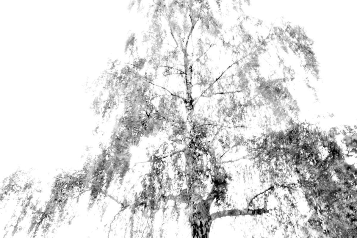 Mein Weg von der Buchhändlerin zur Trauerrednerin