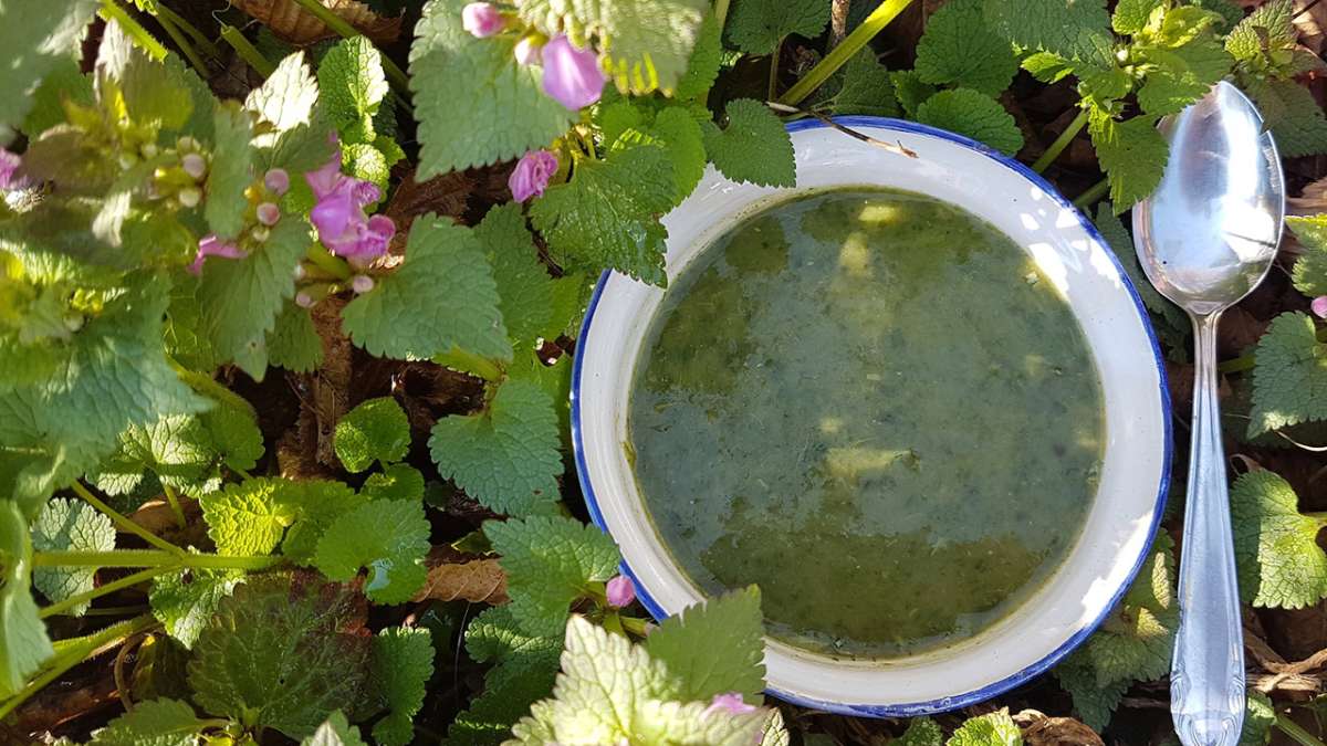 Großes Bild schließen! Kräuterschule: Ach Du Grüne Neune