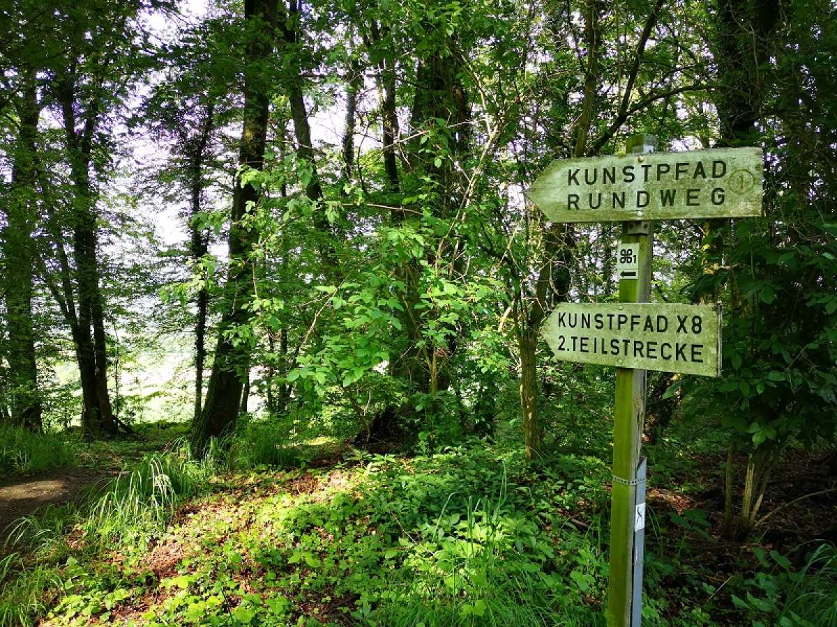 Sensitives Wald-Erlebnis