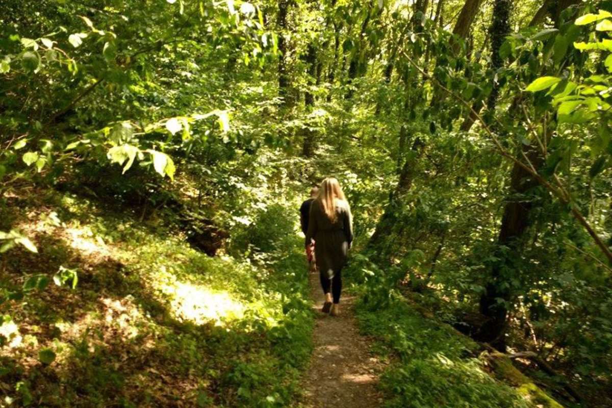 Sensitives Wald-Erlebnis