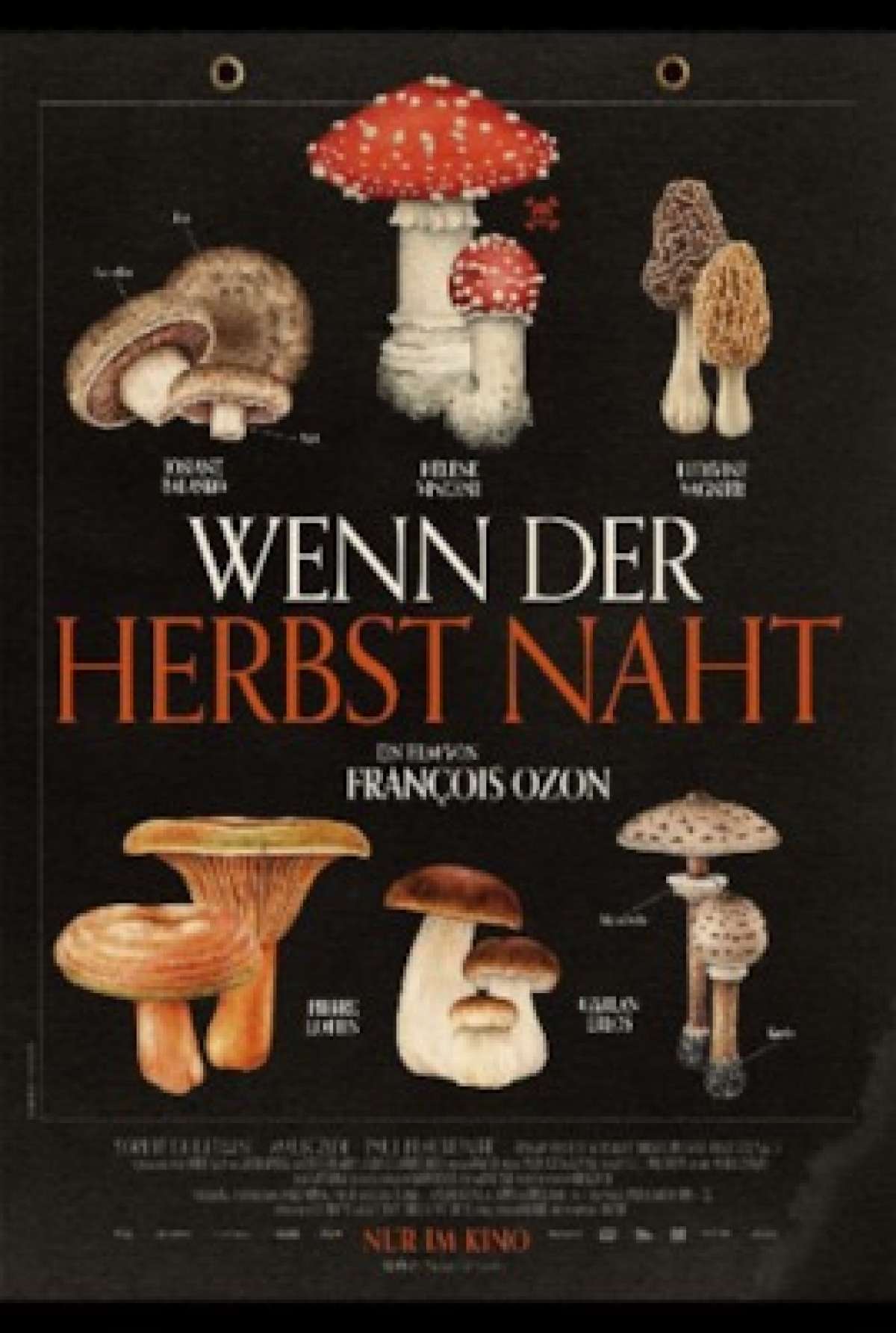 Kino im BAC: Wenn der Herbst naht