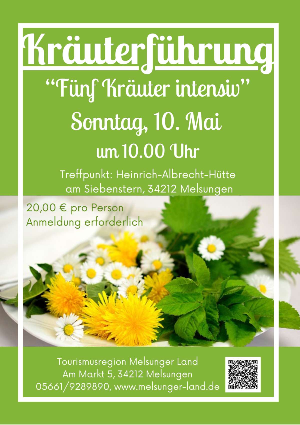 Kräuterführung Fünf Kräuter Intensiv