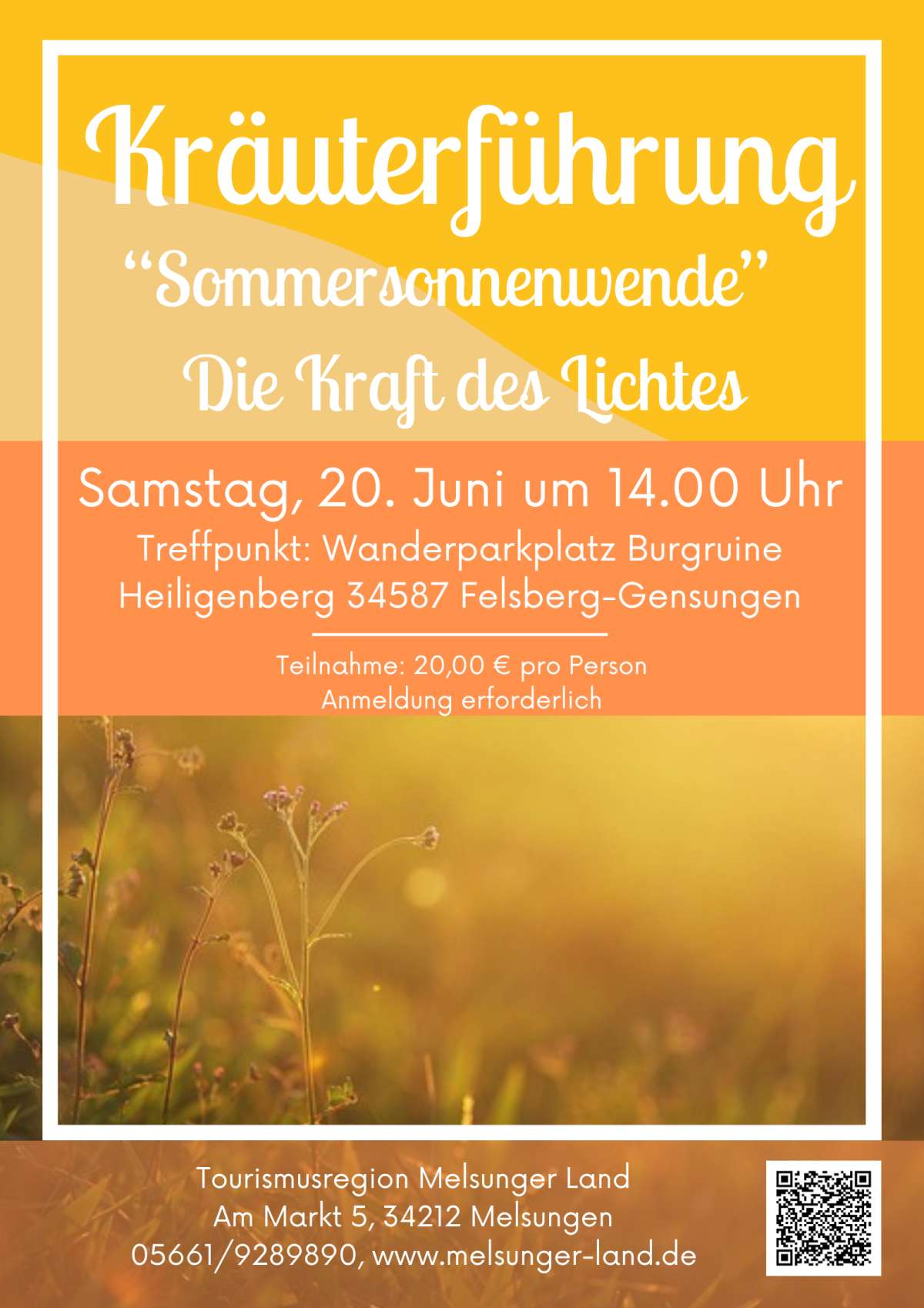 Kräuterführung Sommersonnenwende - Die Kraft des Lichtes