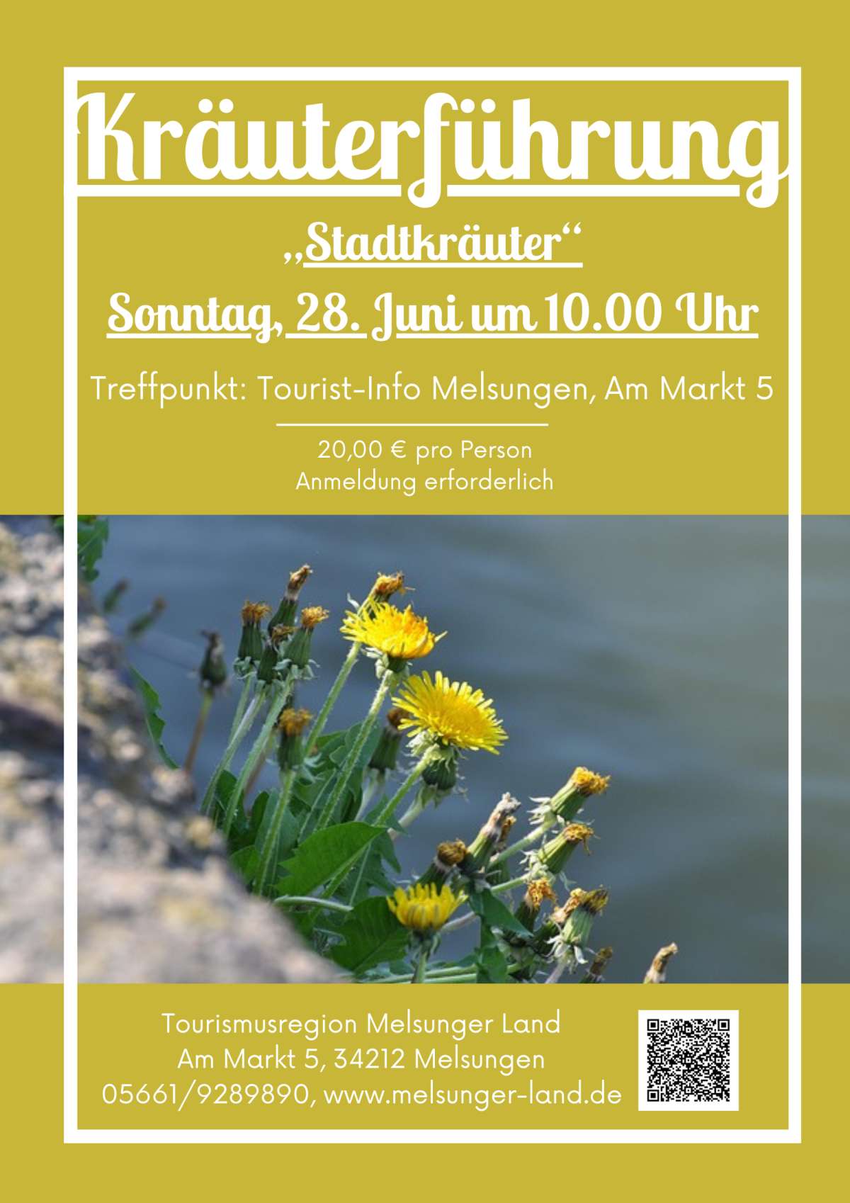 Kräuterführung Stadtkräuter