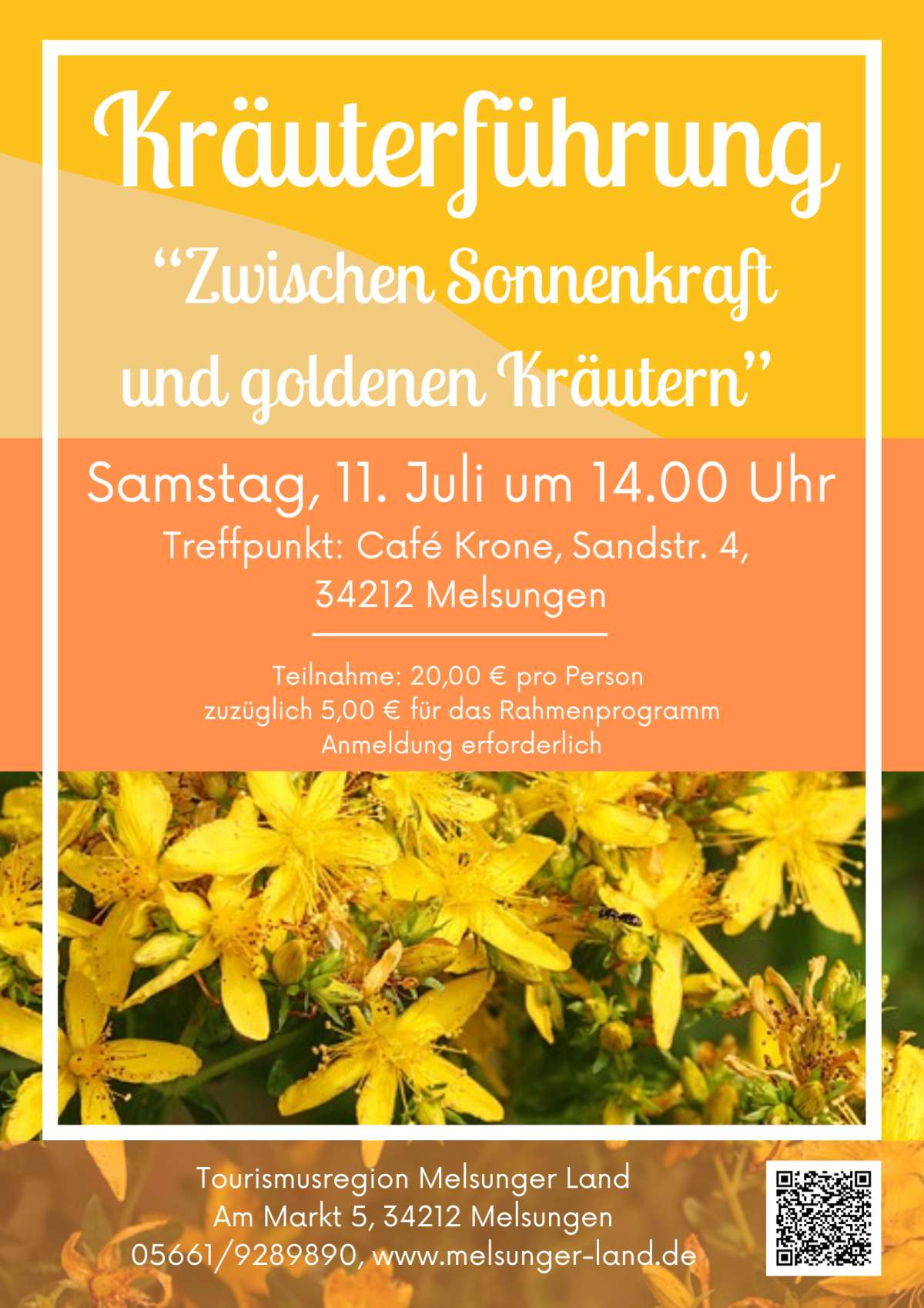 Großes Bild schließen! Kräuterführung Zwischen Sonnenkraft und goldenen Kräutern