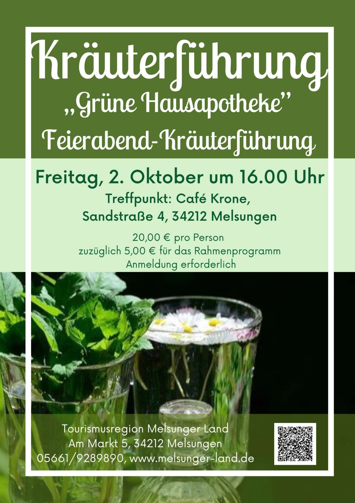 Grüne Hausapotheke - Feierabend-Kräuterführung