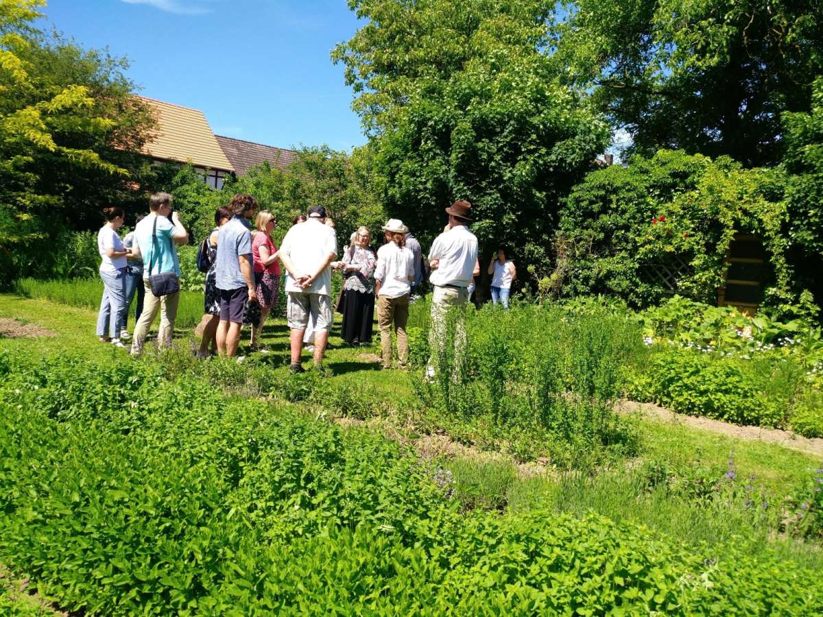 Großes Bild schließen! Kräutergartenführung