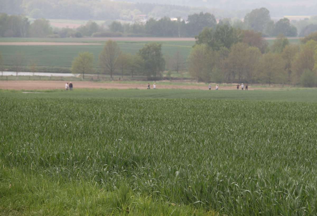 Volkswandertag Stolzenbach