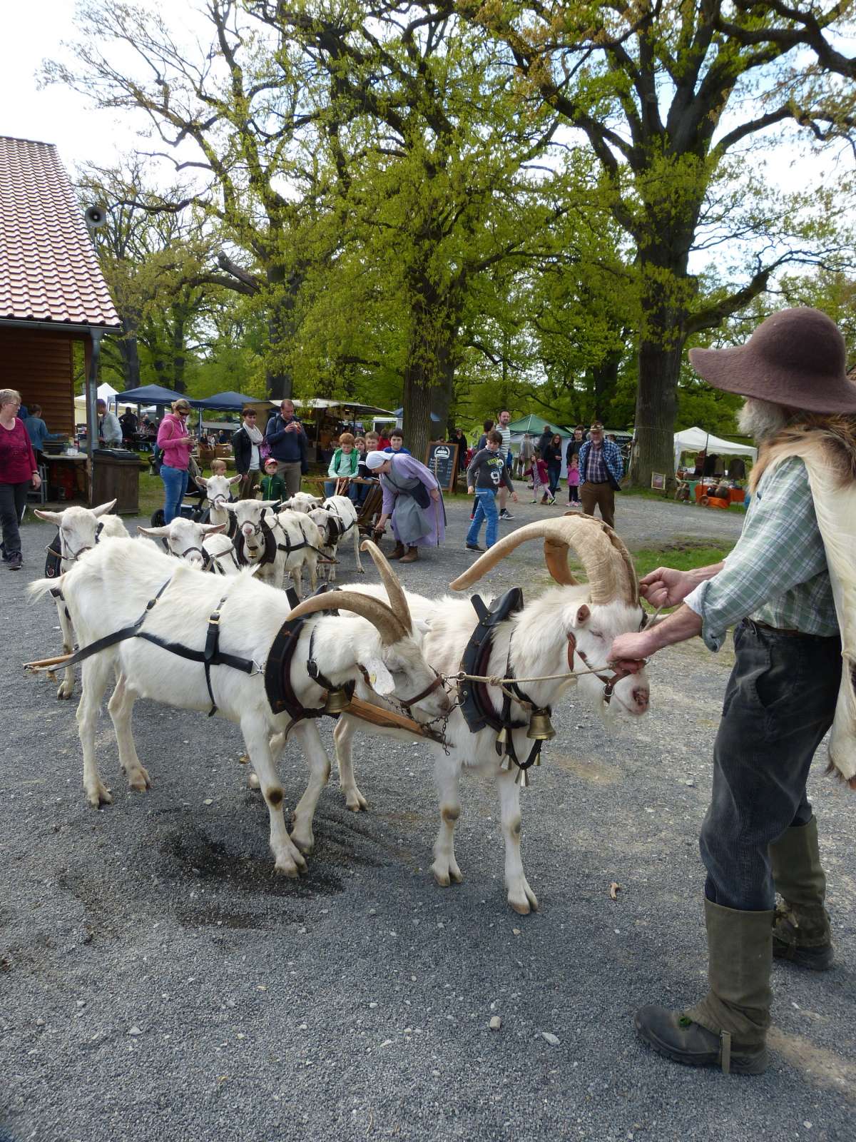 Frühlingsmarkt im Tierpark Sababurg