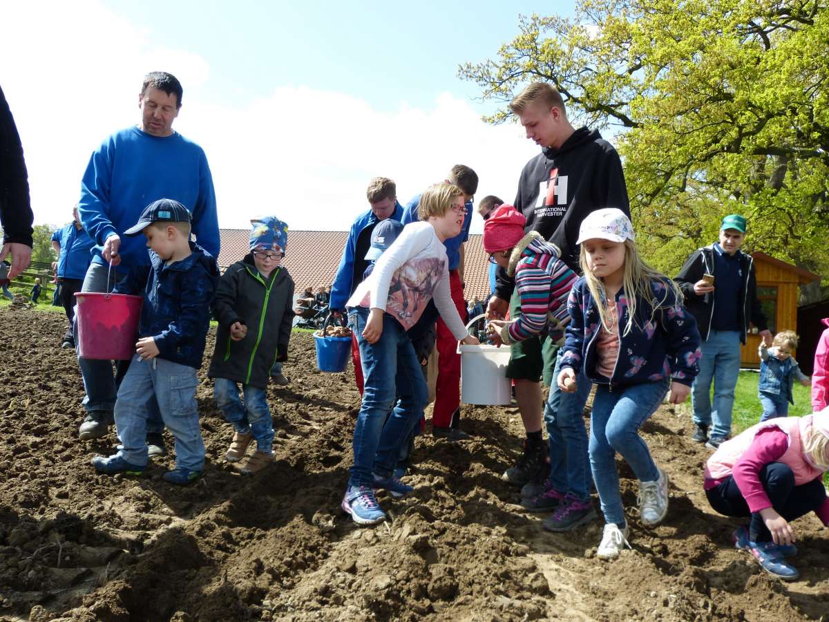 Frühlingsmarkt im Tierpark Sababurg
