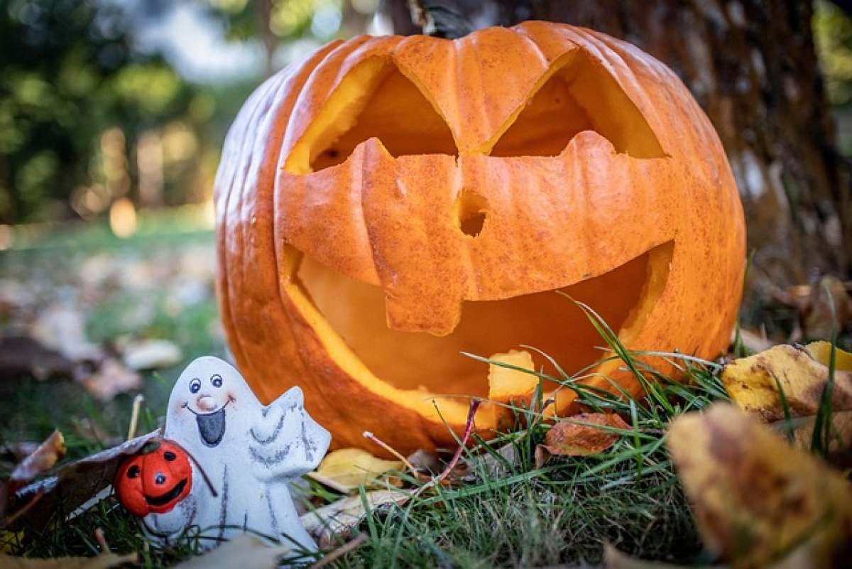 Großes Bild schließen! Helloween-Spaziergang für Kinder