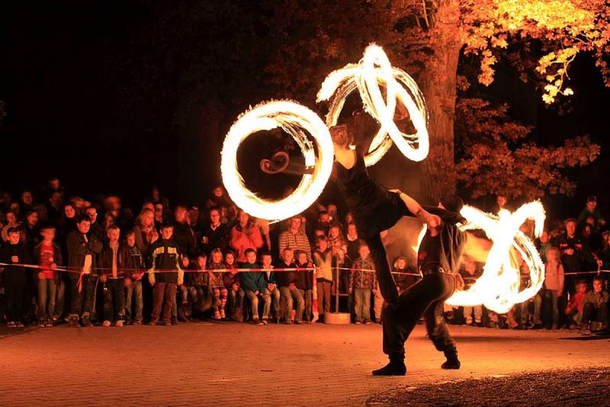 Großes Bild schließen! Lichterfest im Tierpark Sababurg
