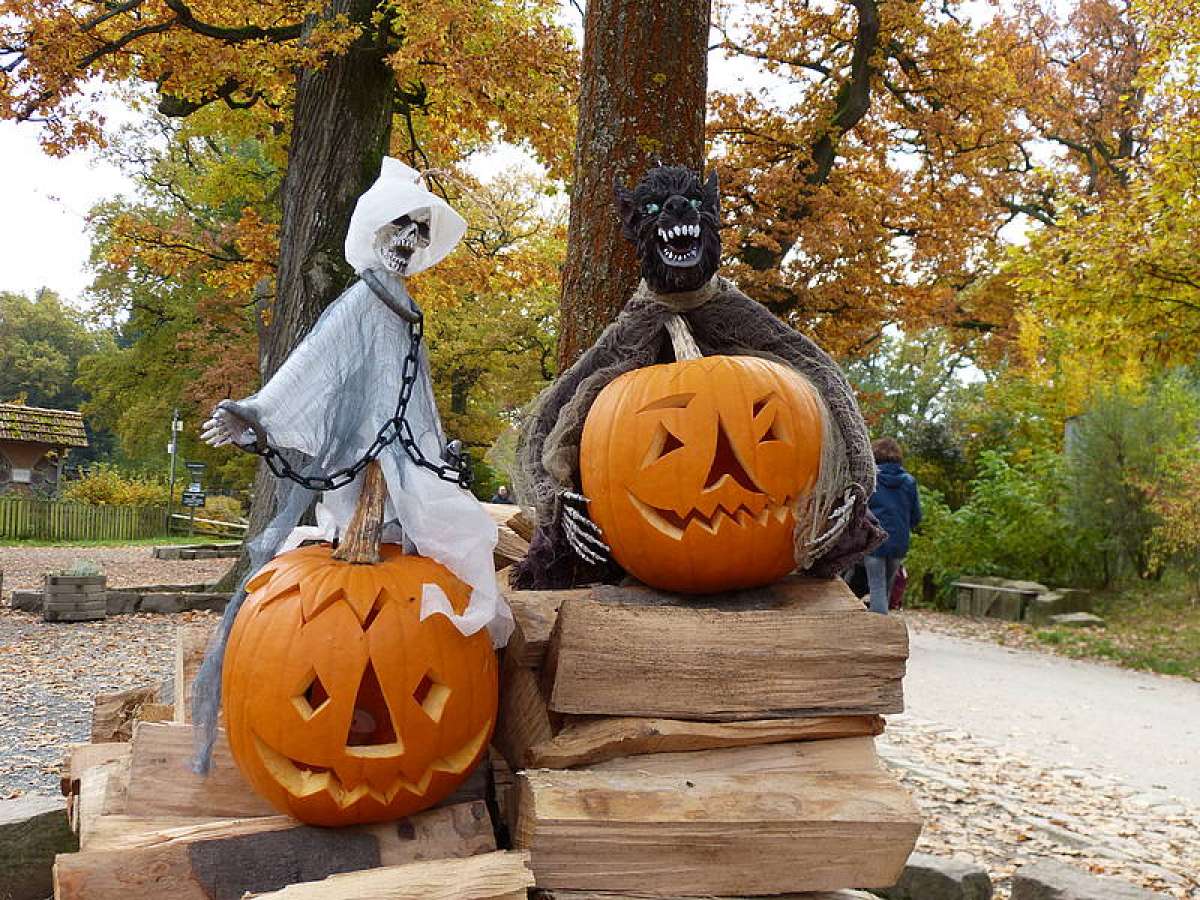 Großes Bild schließen! Halloween im Tierpark Sababurg