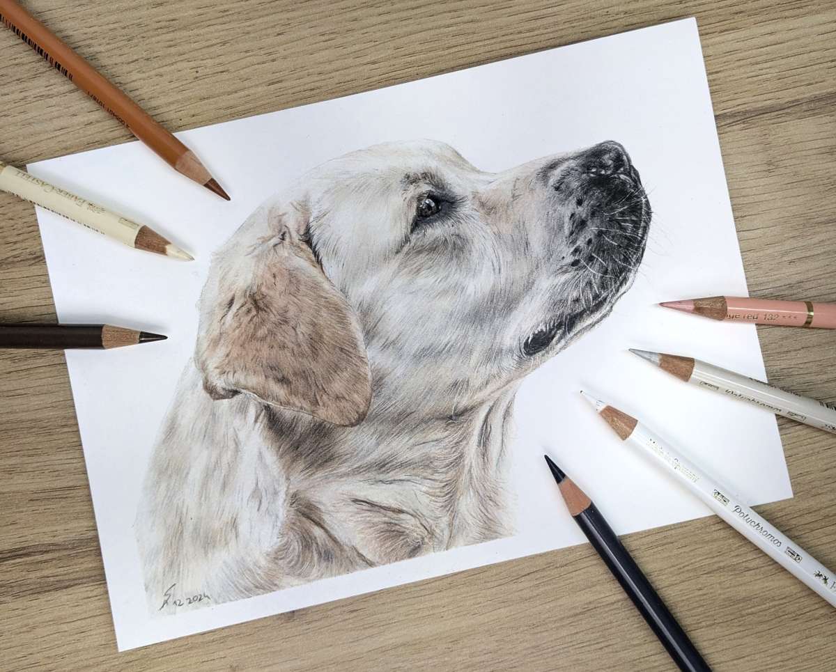 Realistisches Zeichnen mit Buntstift - Tiere zum Leben erwecken (Tag 1/2) – Annika Schmitt (Annikas Arts)