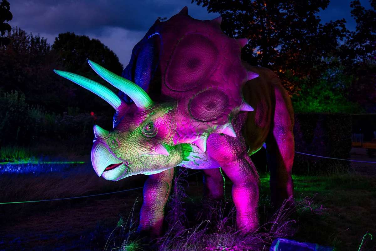DinoLichter im Archäologiepark