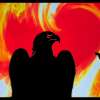 On Fire - brand new Show 2026 – Moving Shadows