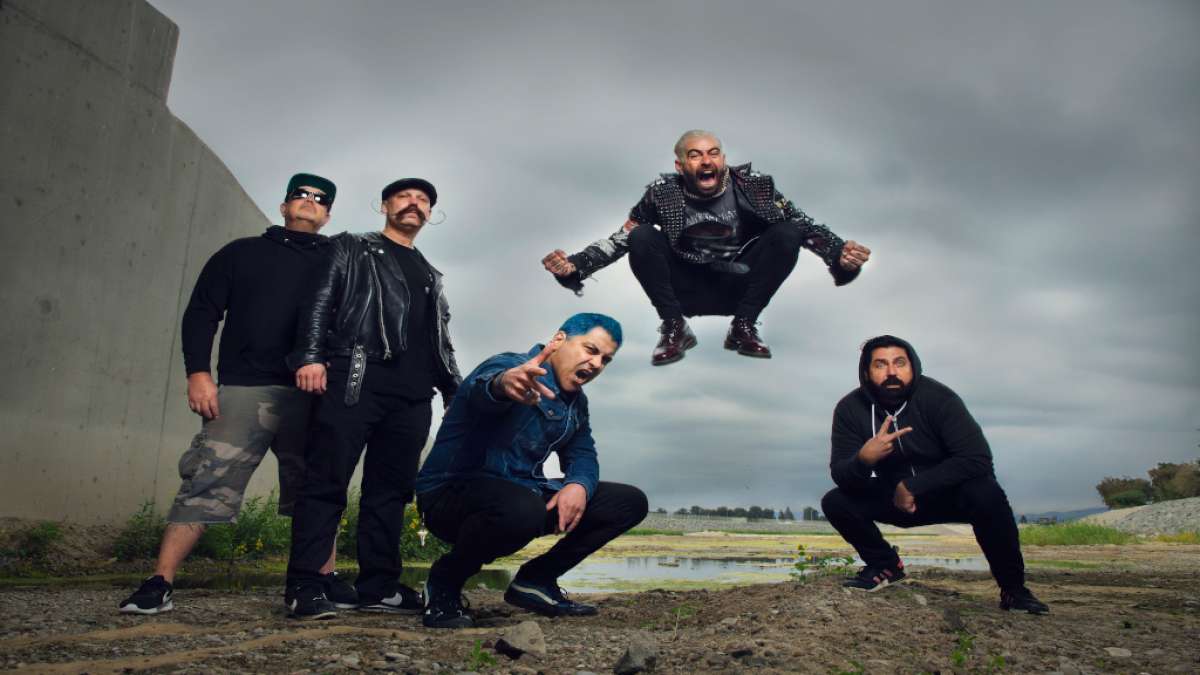 Zebrahead