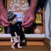 Michelgeschichten – Spielraum-Theater