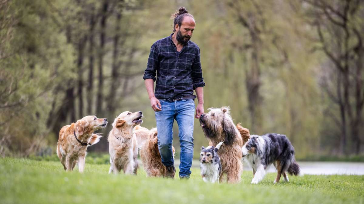Der zugewandte Hund! – Sami El Ayachi