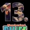13. Weserbergland Bluesfestival