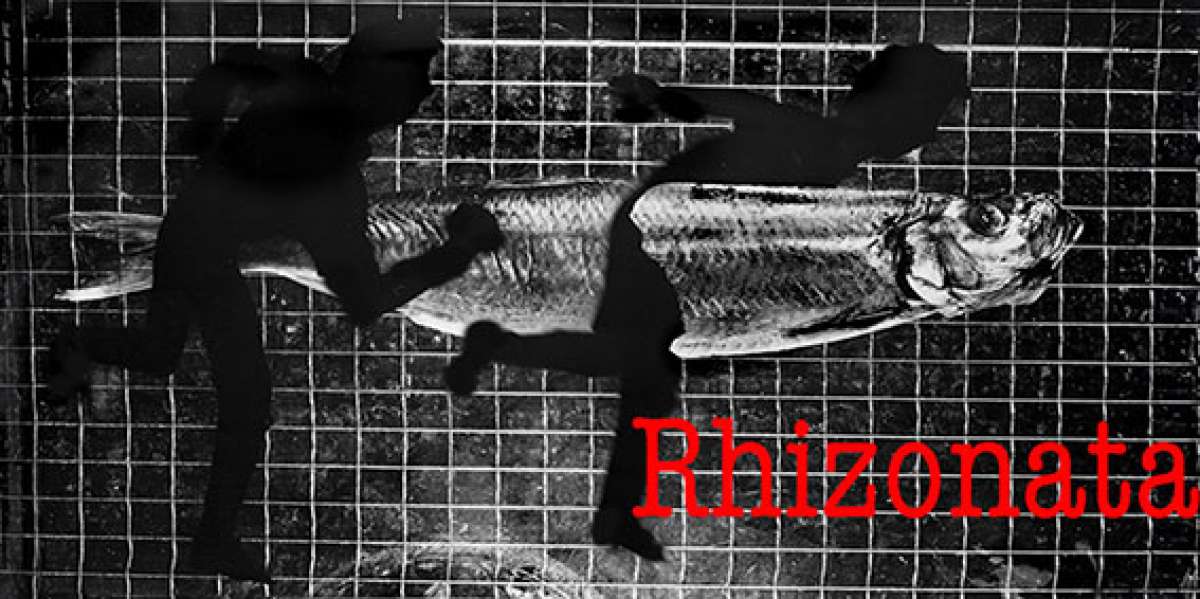 Rhizonata – Hildegard Weber